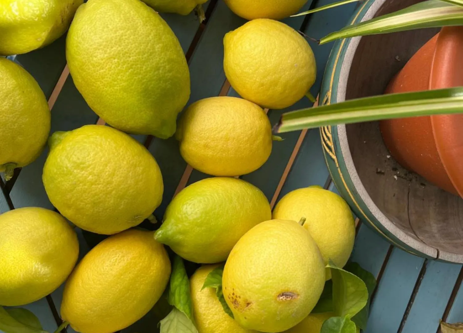 Dom wakacyjny Willa El Patio Del Limonero Écija